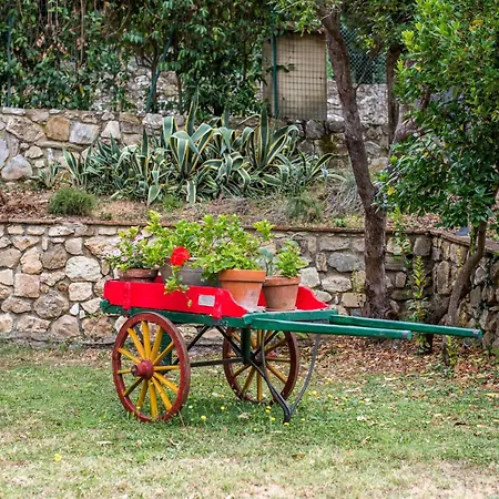 Ocabianca Casa Per Le Vacanze Dom wakacyjny Casole dʼElsa